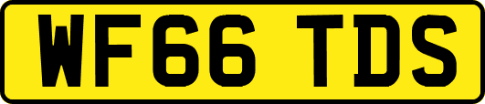 WF66TDS