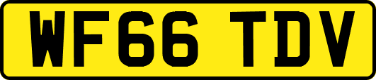 WF66TDV