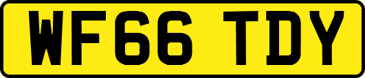 WF66TDY