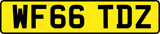 WF66TDZ