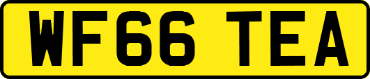 WF66TEA
