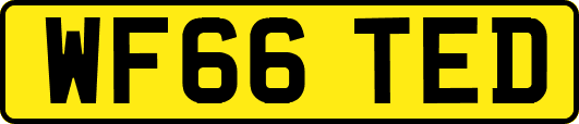 WF66TED