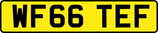 WF66TEF