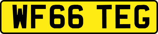 WF66TEG