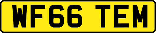 WF66TEM