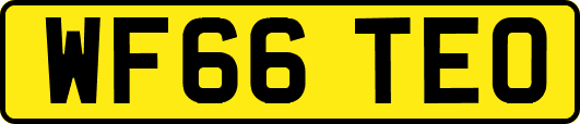 WF66TEO