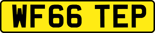WF66TEP