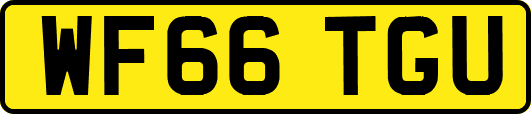 WF66TGU