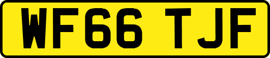 WF66TJF