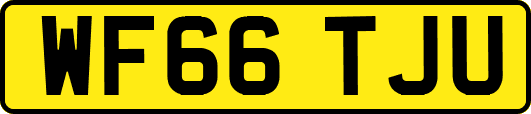 WF66TJU