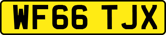 WF66TJX