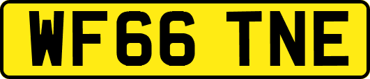 WF66TNE