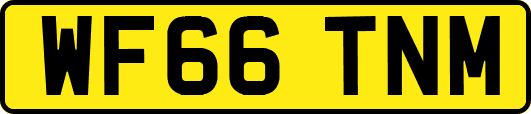 WF66TNM