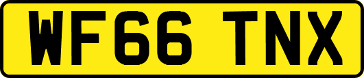WF66TNX