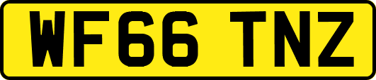 WF66TNZ