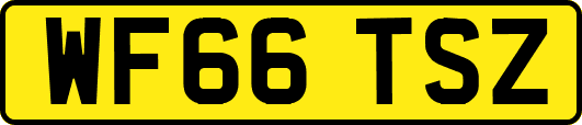 WF66TSZ