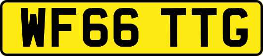 WF66TTG