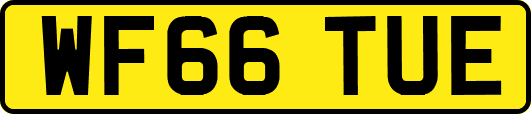WF66TUE