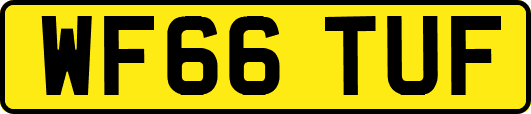 WF66TUF