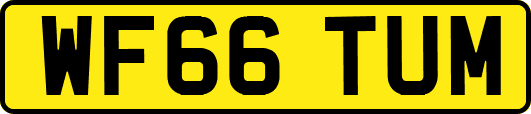 WF66TUM