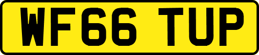 WF66TUP