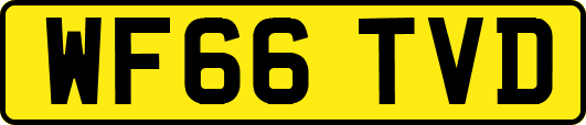 WF66TVD