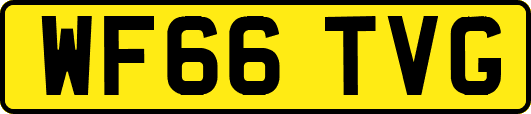 WF66TVG