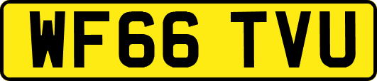 WF66TVU