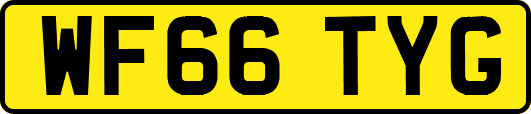 WF66TYG