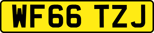 WF66TZJ