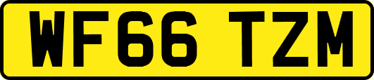 WF66TZM