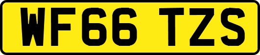 WF66TZS
