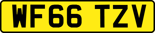 WF66TZV