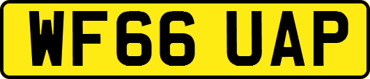 WF66UAP
