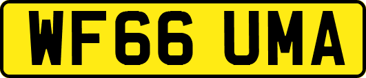 WF66UMA