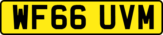WF66UVM