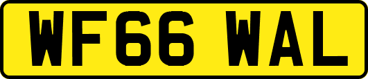 WF66WAL