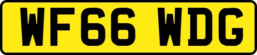 WF66WDG