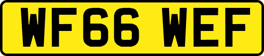WF66WEF