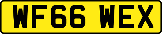 WF66WEX