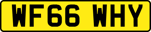 WF66WHY