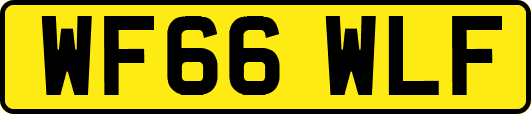 WF66WLF