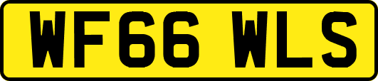 WF66WLS