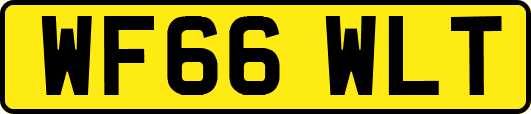 WF66WLT