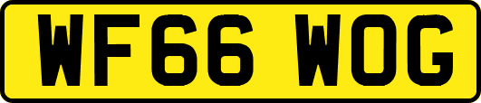 WF66WOG