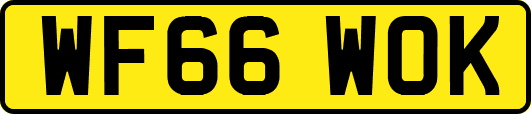WF66WOK