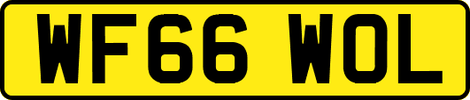 WF66WOL