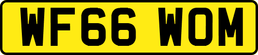 WF66WOM