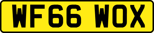 WF66WOX