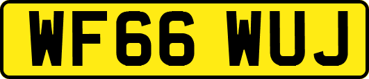 WF66WUJ